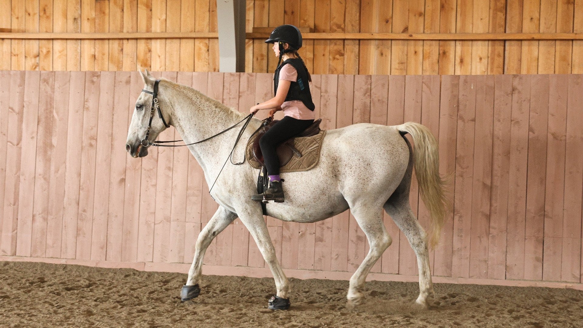 personligt ridläger, ridvana, ridhus, hästar, samspel häst & ryttare, mjuk ridning