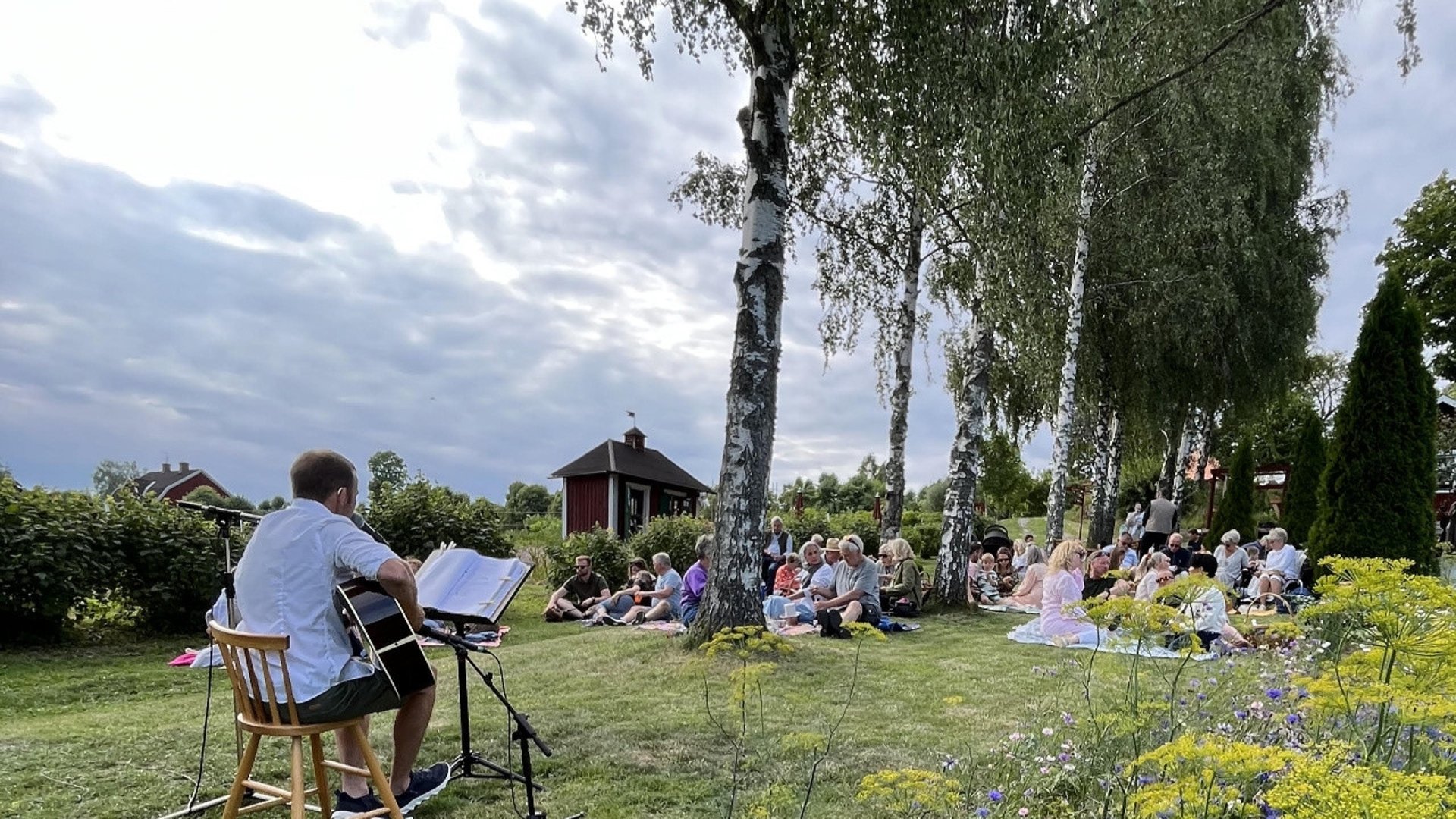 En musiker som spelar på sin guitarr i en trädgård med många människor i bakgrunden som sitter på gräsmattan och har picknick. 