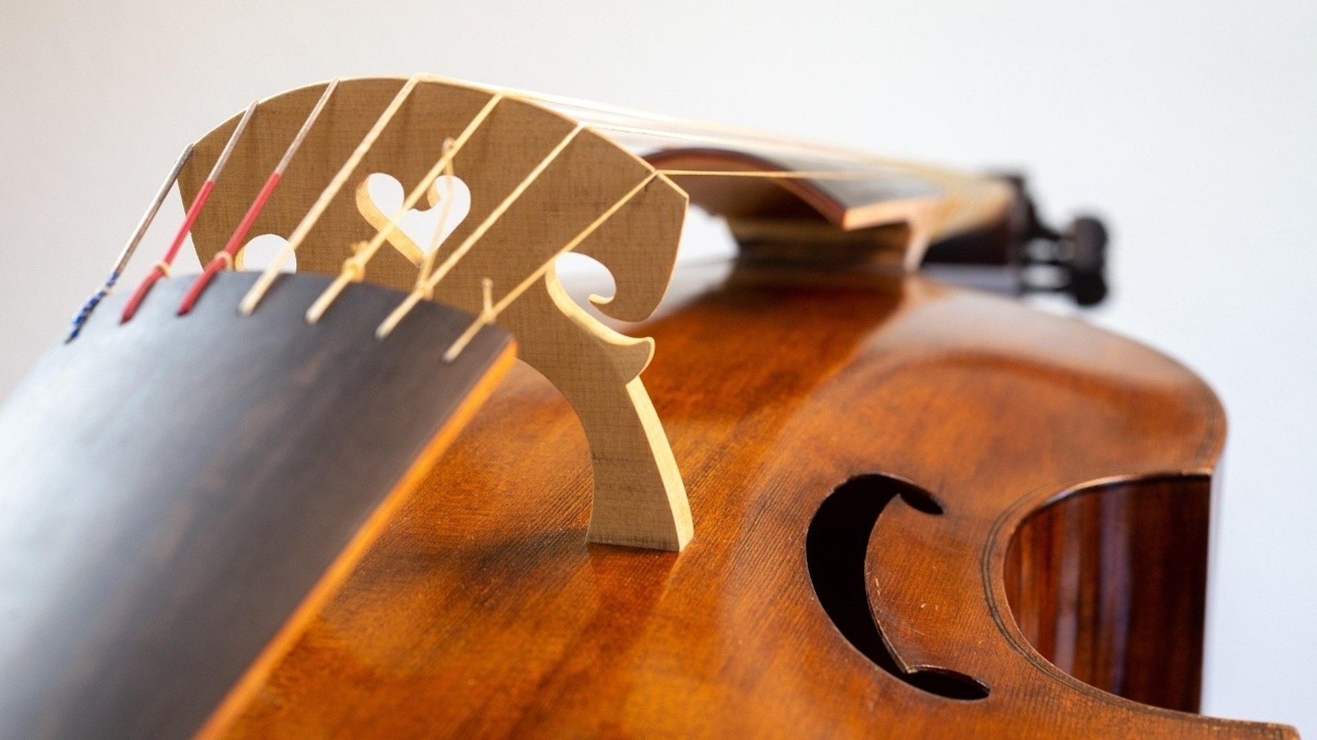 Violin de gamba - ett stränginstrument.