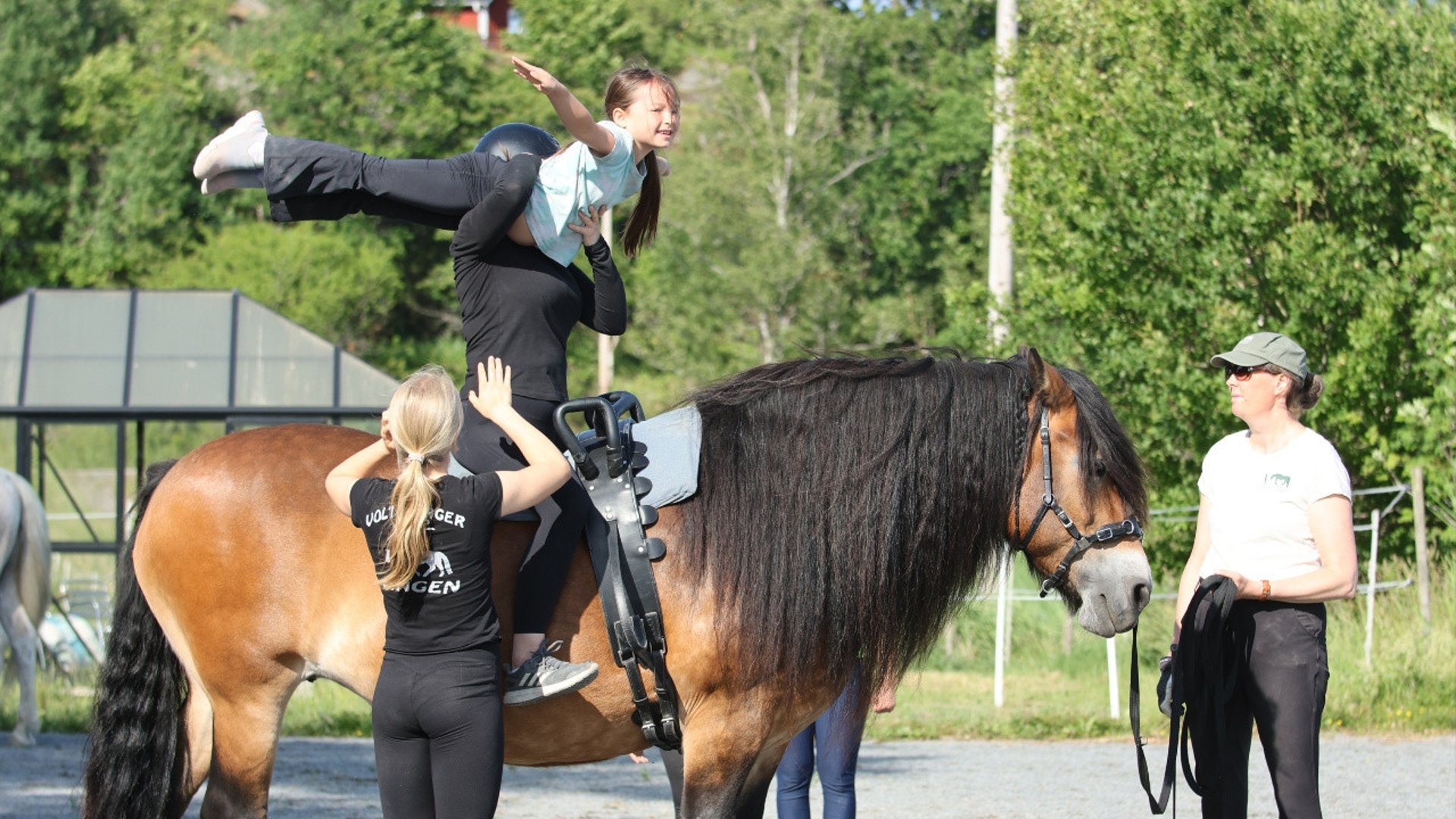 Voltigeläger, roligt med häst, gymnastik på hästryggen, tryggt, roligt läger, kompisläger, trygga hästar, voltigeutbildning