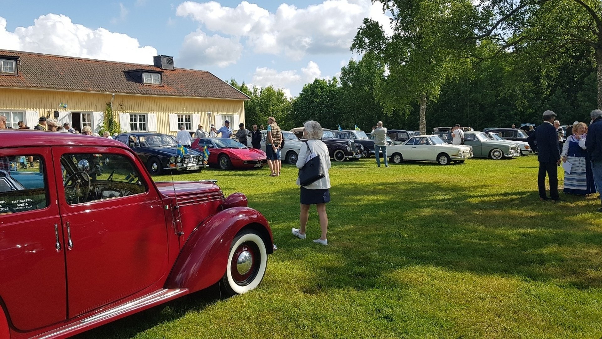 Veteranbilar på en gräsmatta.