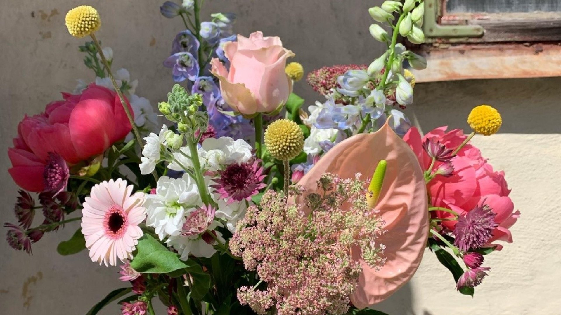 Bild till verksamhet: Gripsholmsparkens blommor