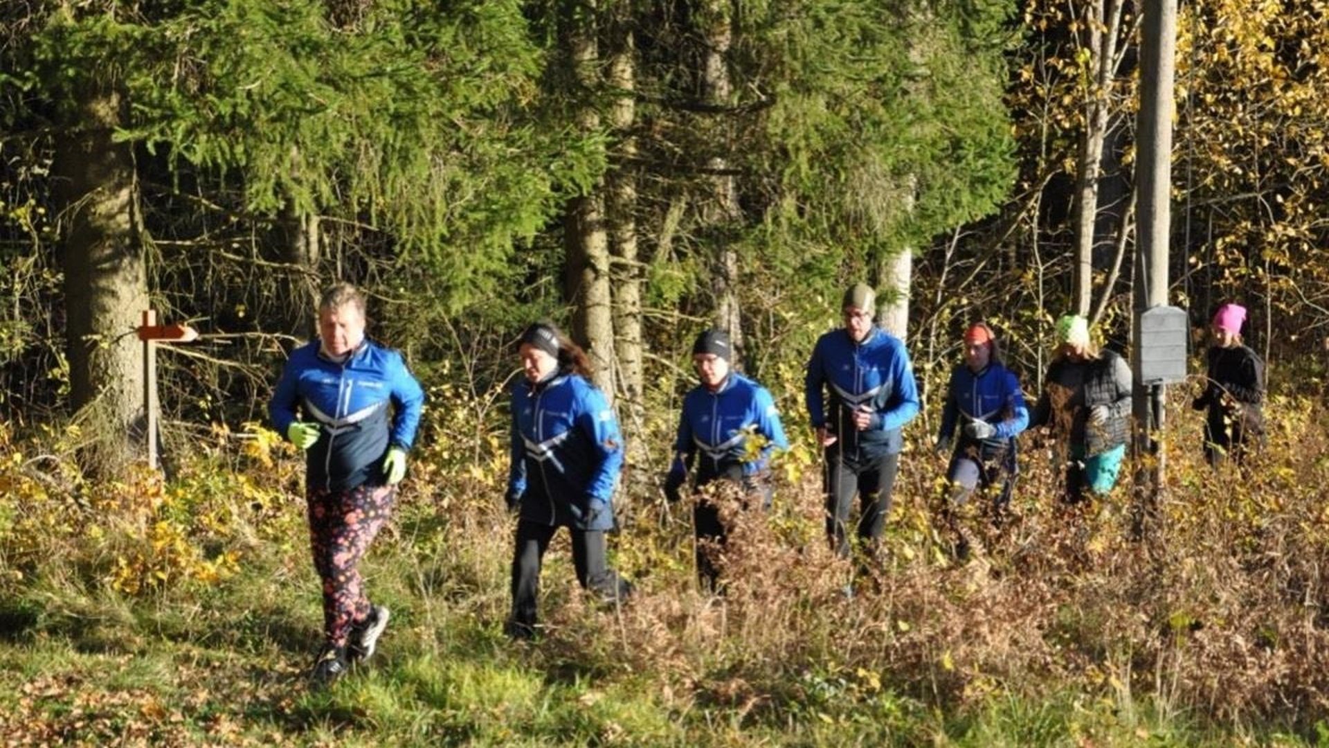 Bild till verksamhet: Nynäs IK0