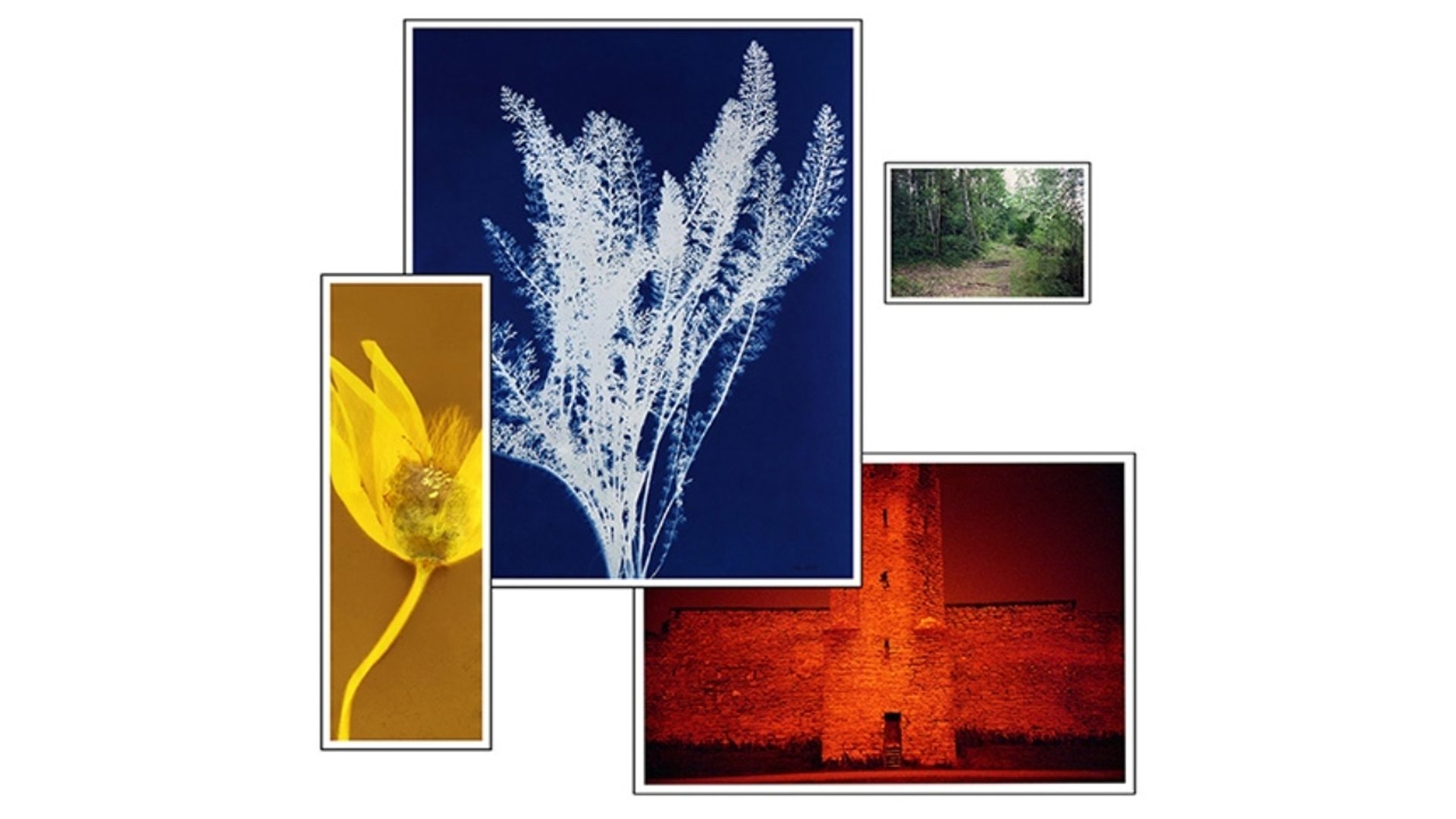 Foton av Ulf Rehlholm