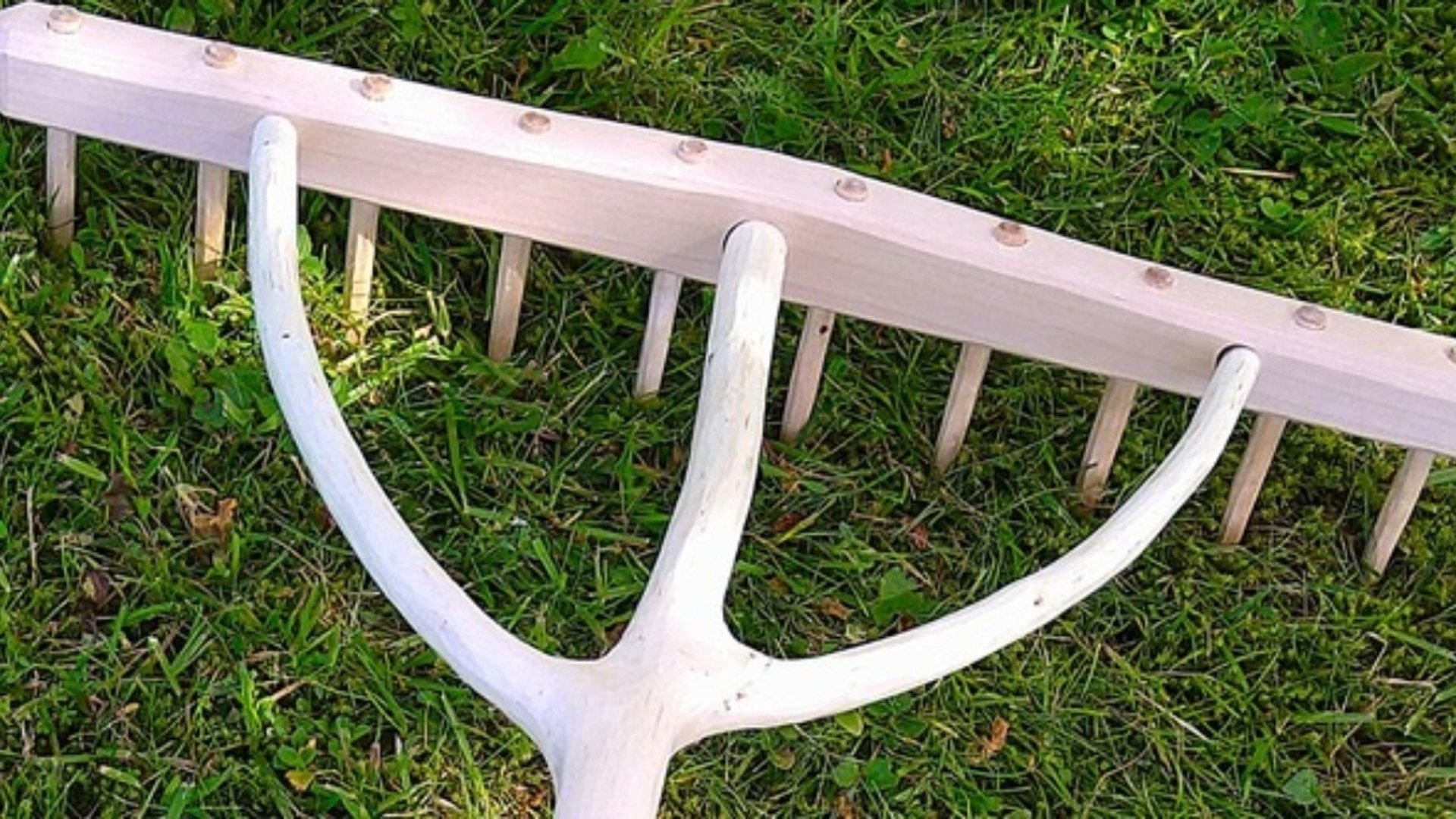 Räfsa ligger i gräs