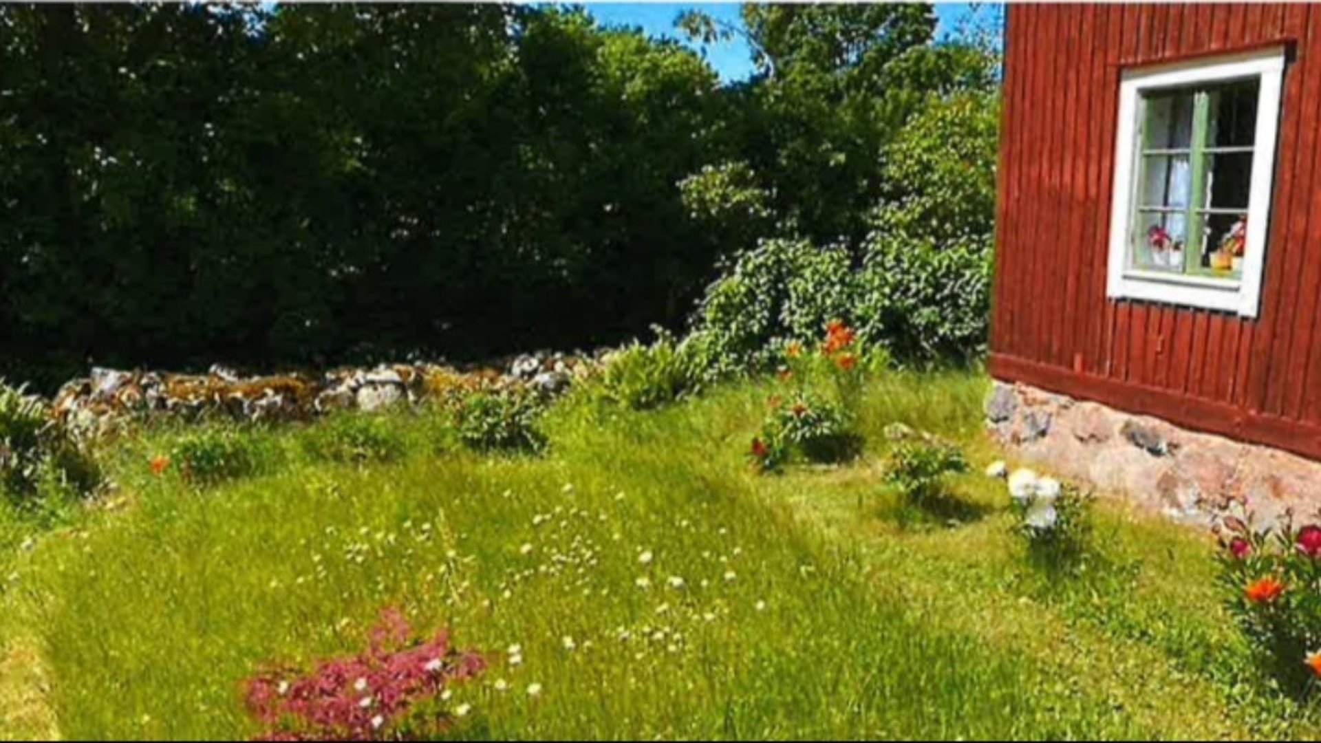 Bild på en trädgård med falurött hus.