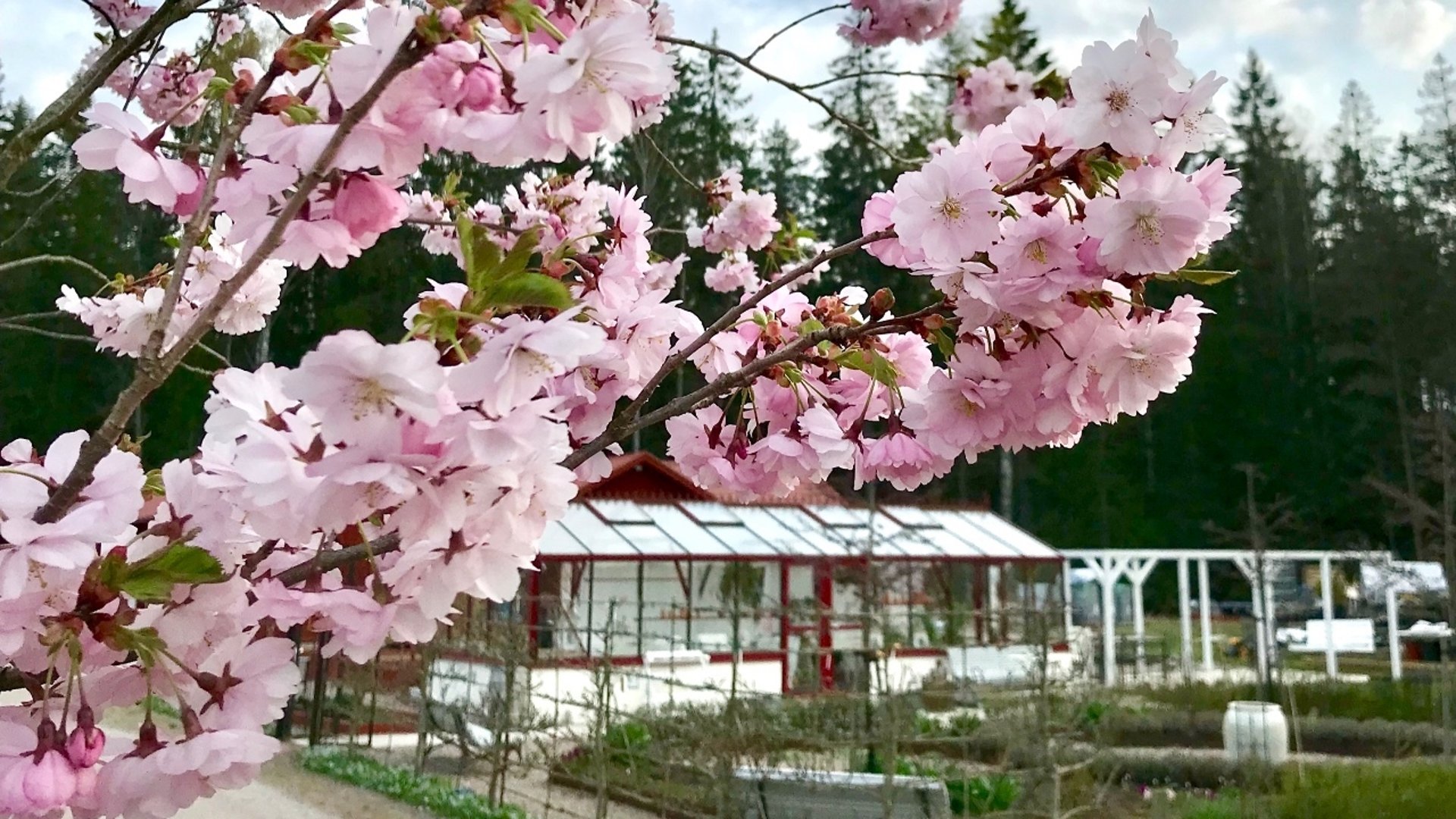 Vårförsäljning på Björktorps Trädgård