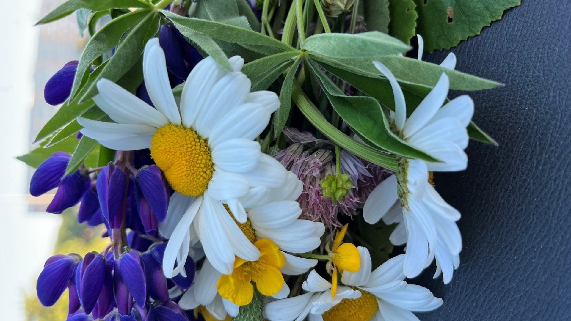 Midsommarfirande i Tuna