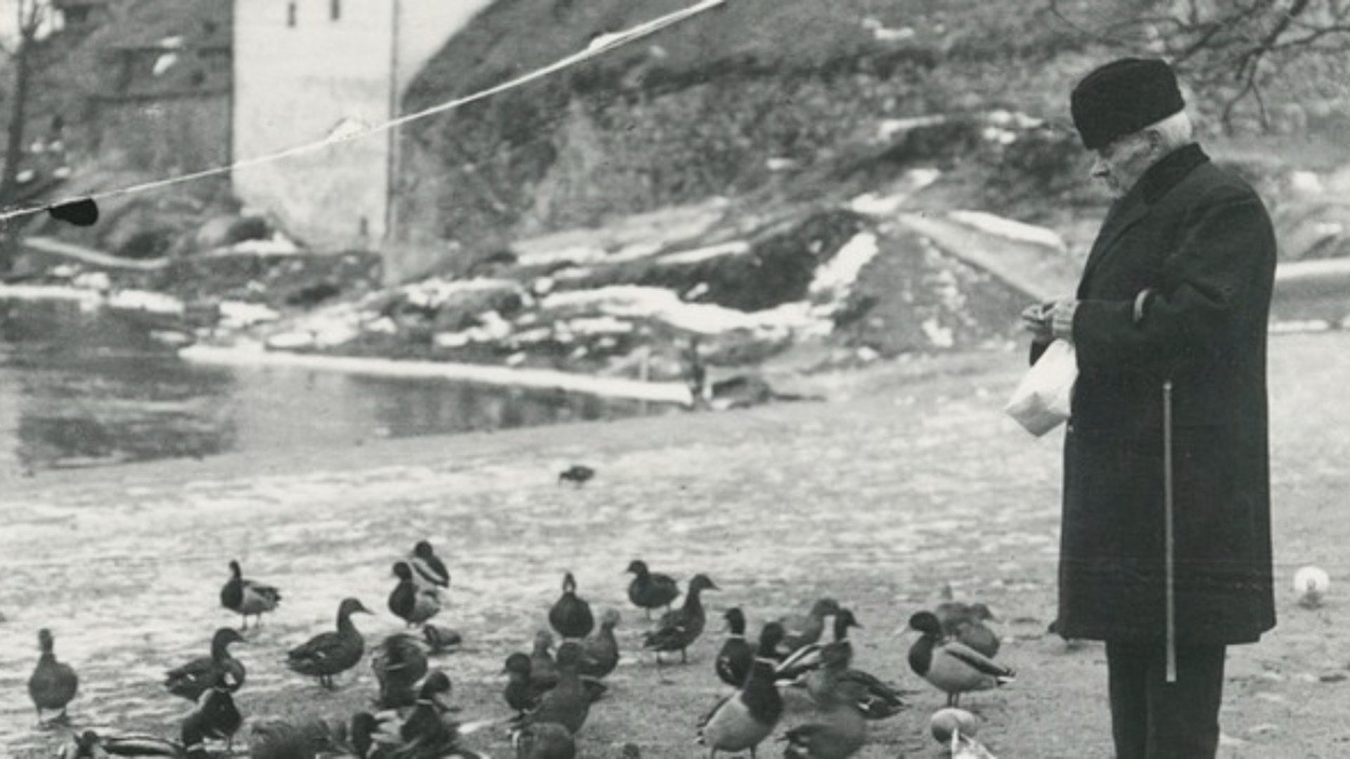 Svartvitt foto på en man som matar fåglar vid Nyköpingshus.