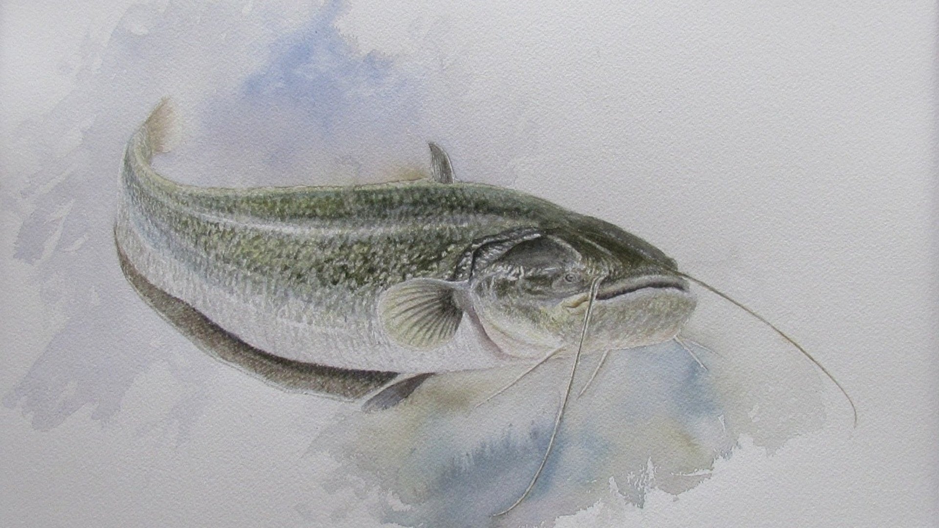 En akvarell på en fisk.