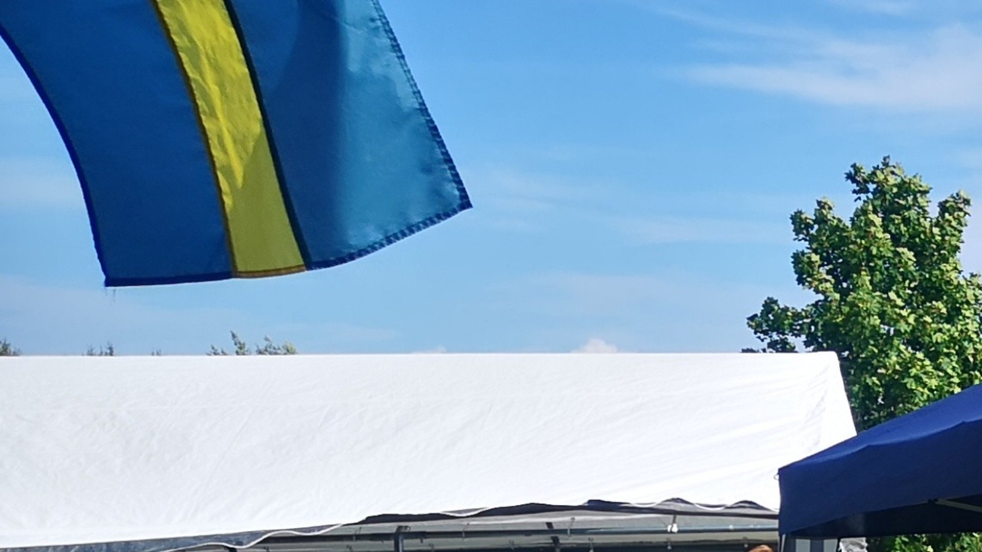 Korvgrillning i Magasinet Horn