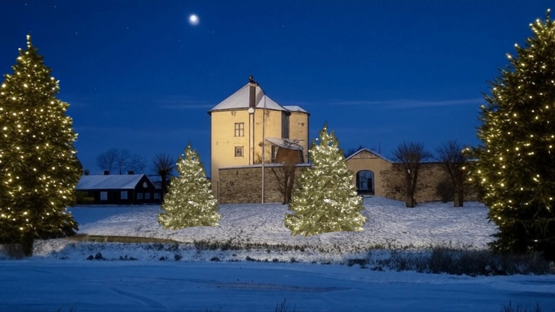 Julglans på slottet