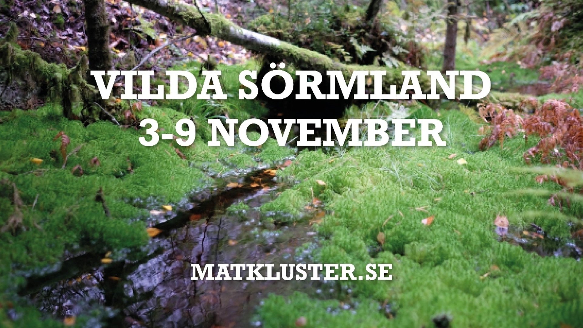 En bild på vild natur i Sörmland