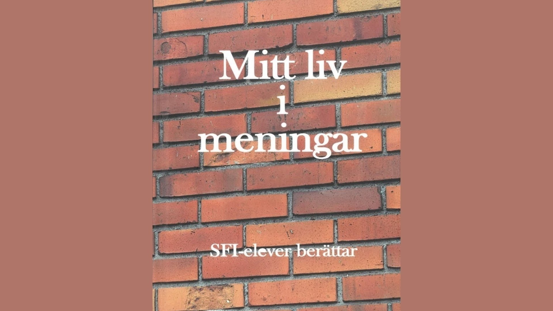 mitt liv i meningar