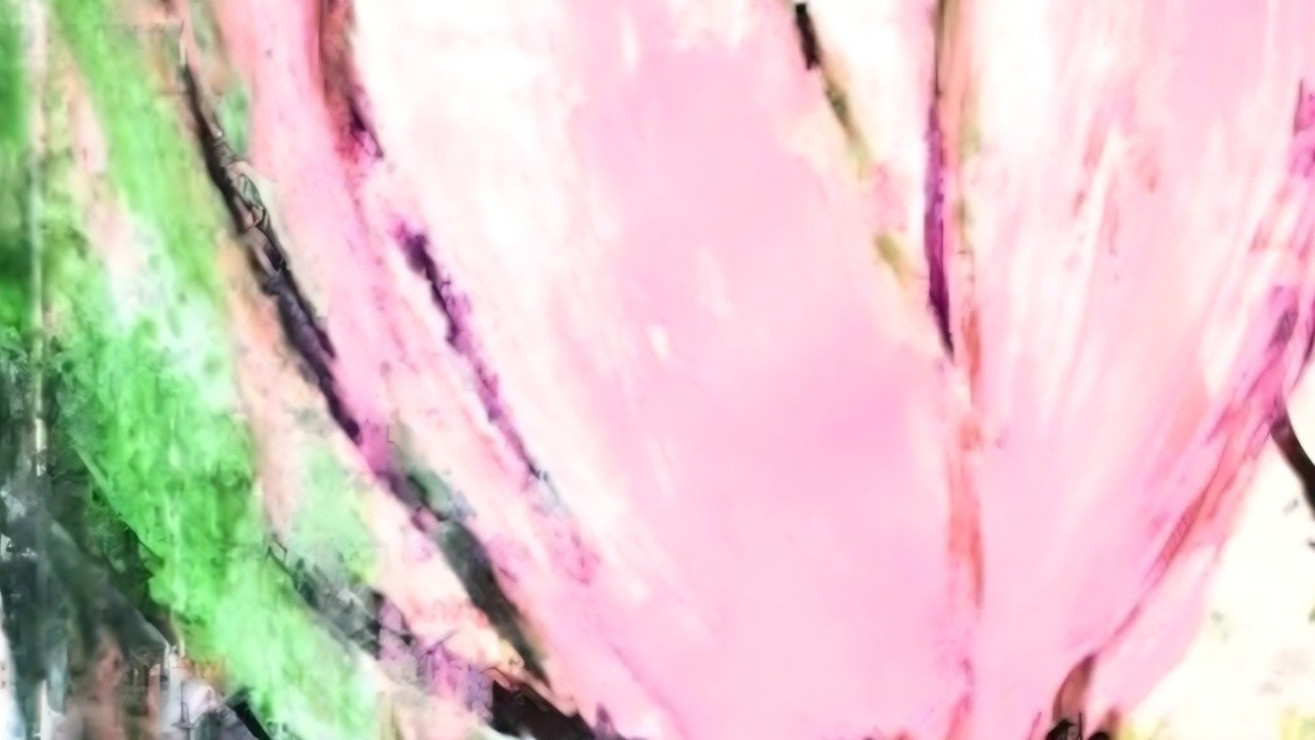 Magnolia