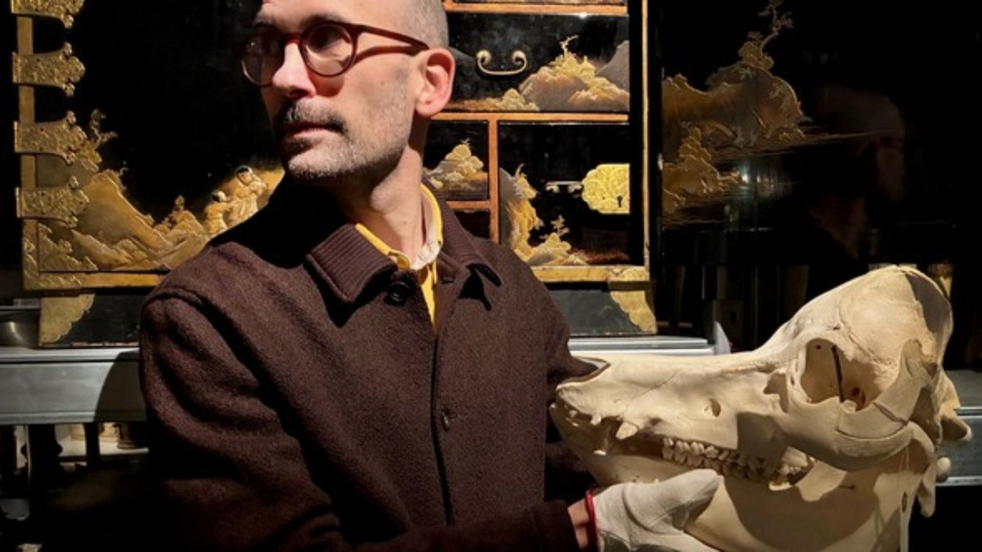 En man håller i ett djurkranie