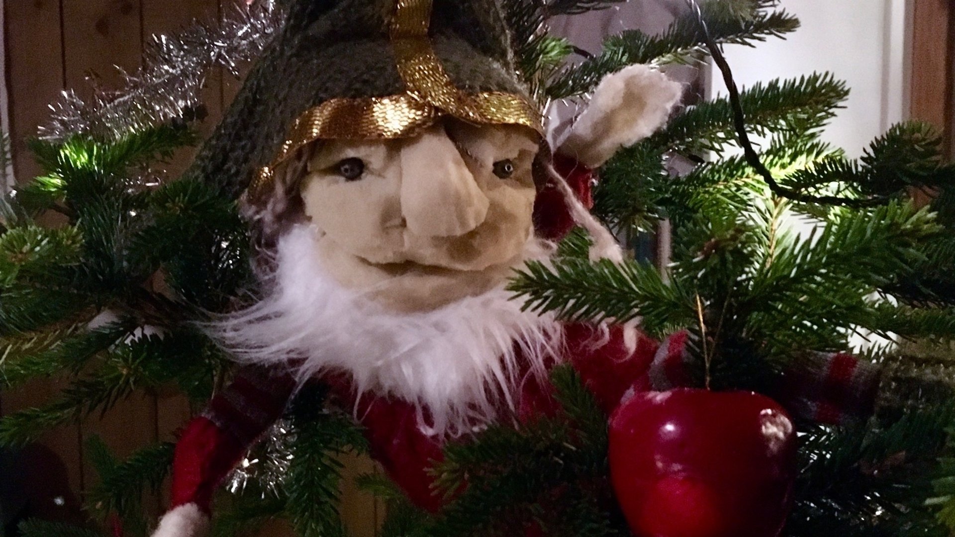 en tomtegubbe sitter i en julgran