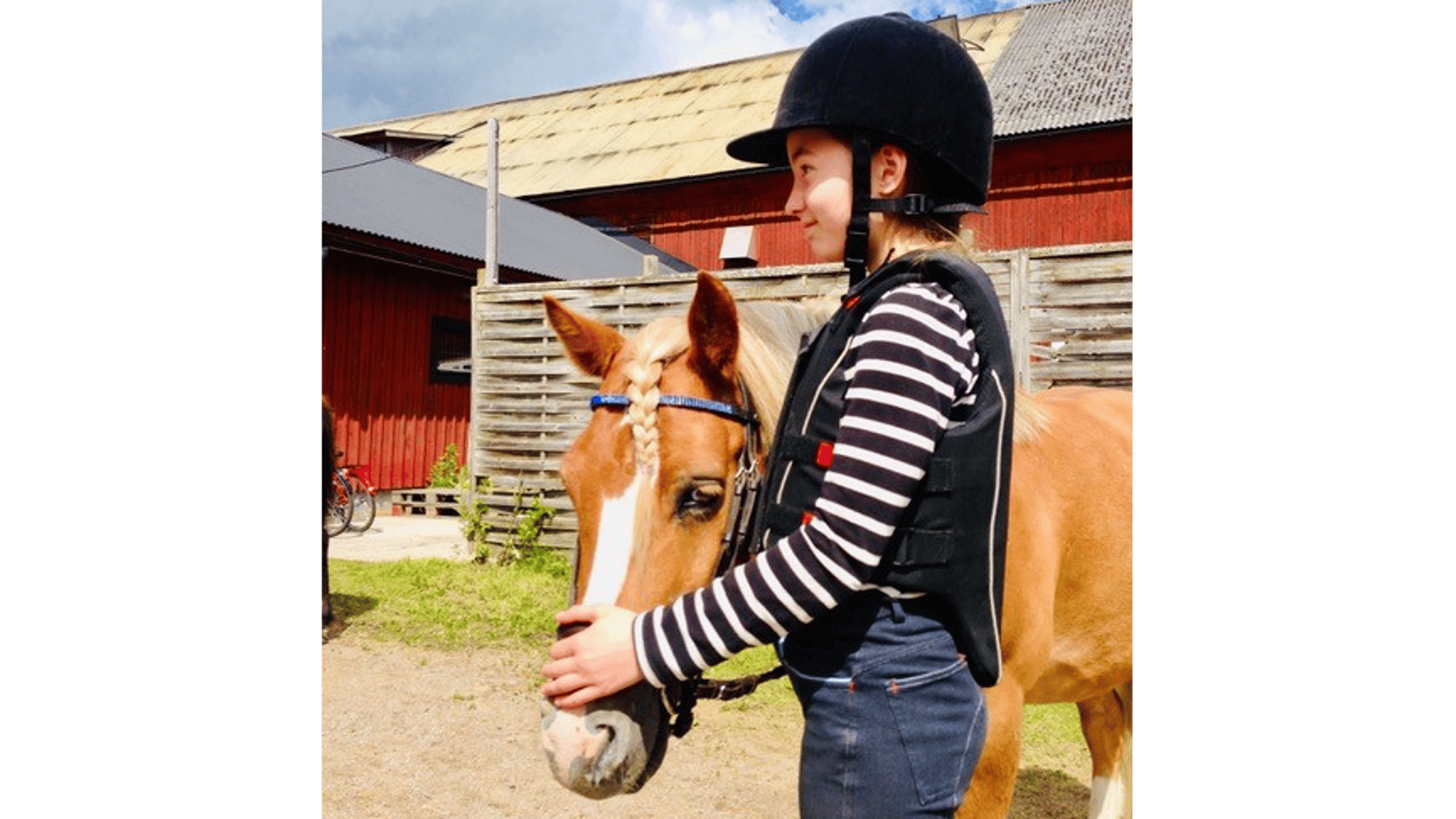 En flicka som håller i en häst