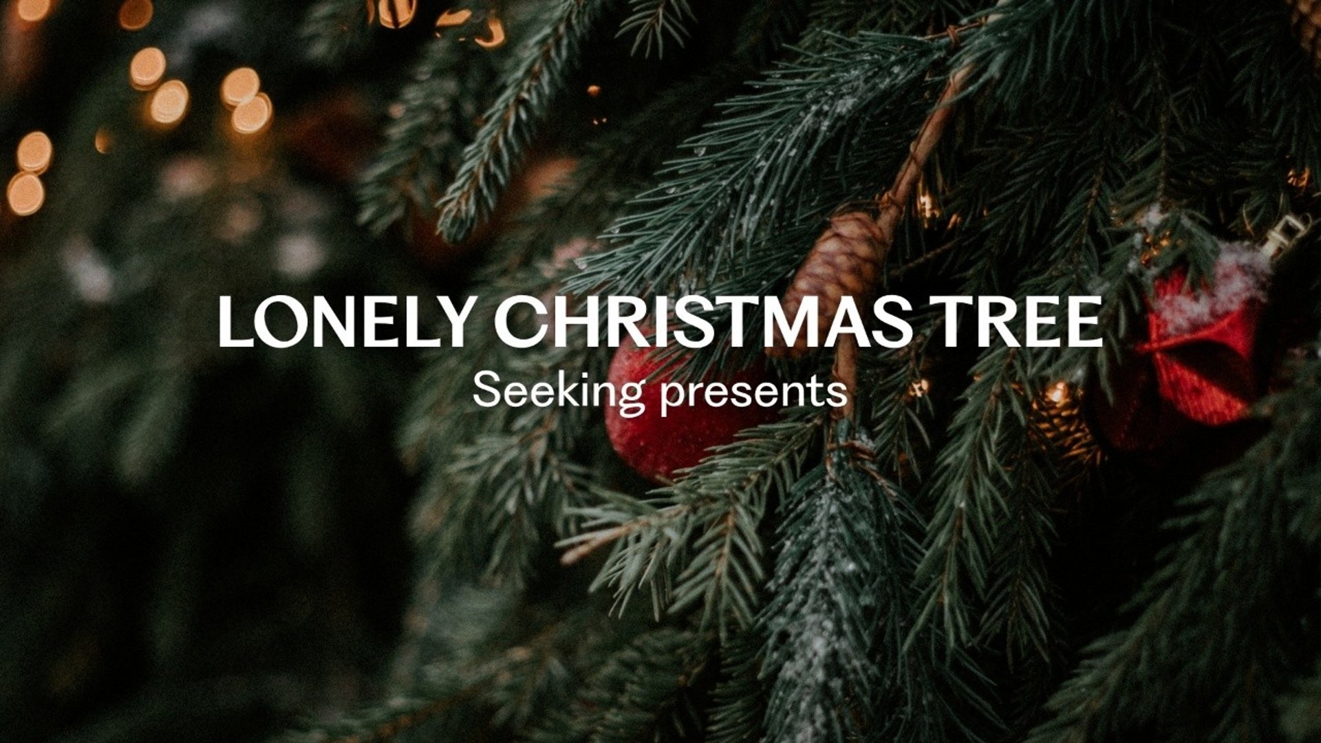 Välkommen till årets finaste evenemang - Ensam julgran söker julklappar! 