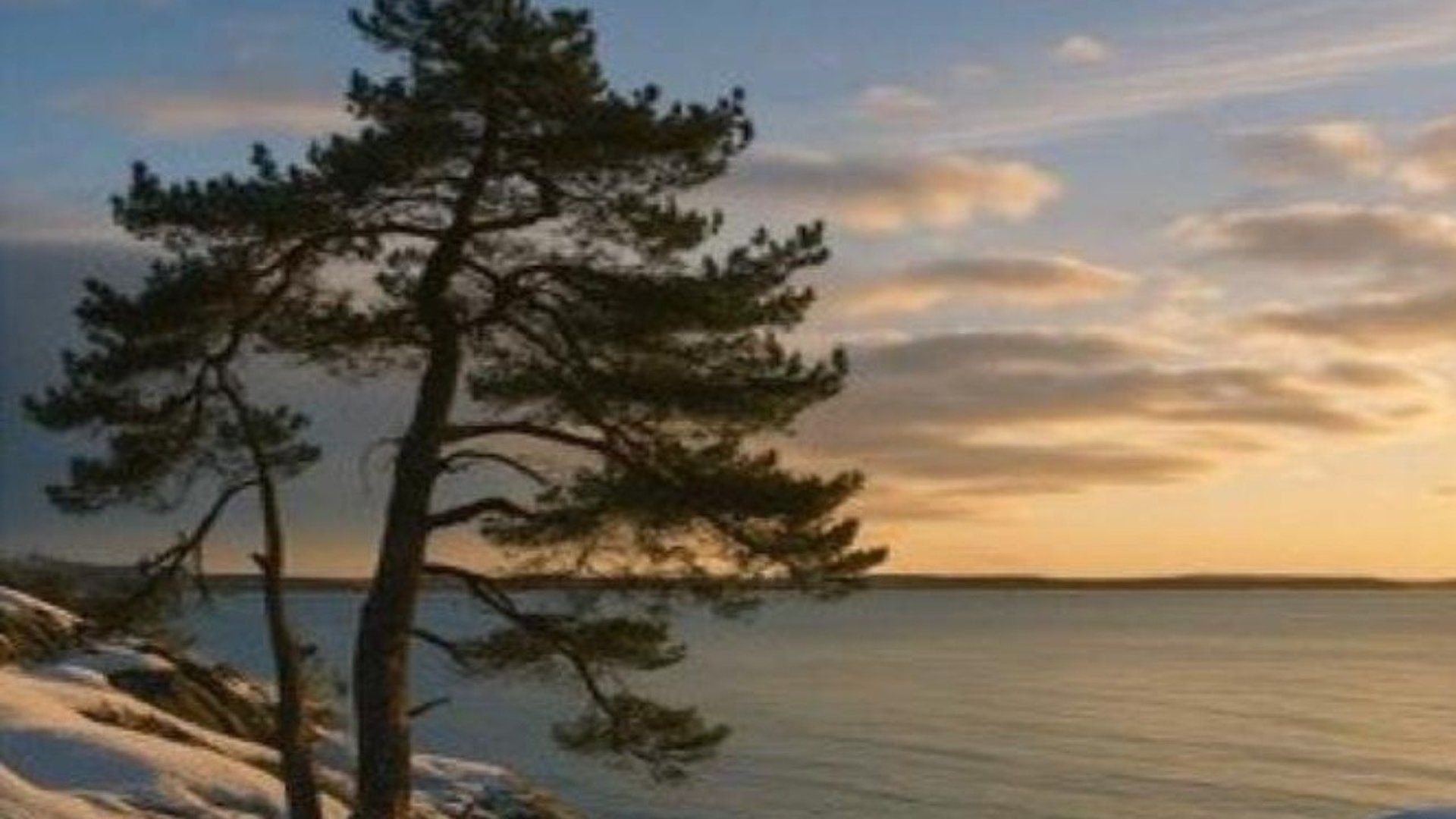 Julmarknad på Lappetorp första advent