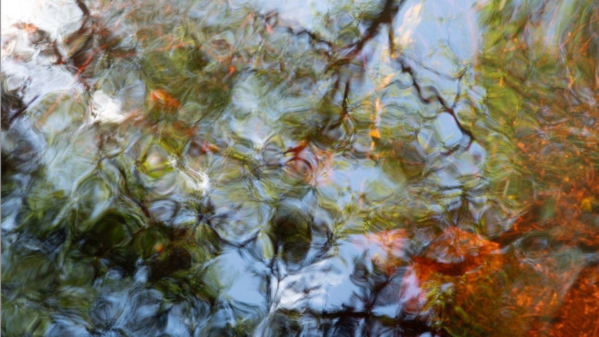 Fotografi av Helen Ljungqvist, Speglingar i vatten.