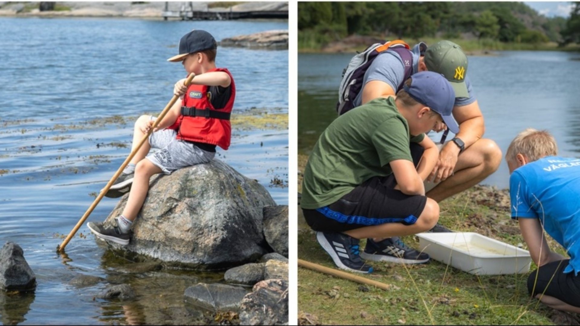 Kollage med ett foto på pojke som håvar i havet och ett foto på personer som sitter på huk och tittar ned i en vit balja med vatten.