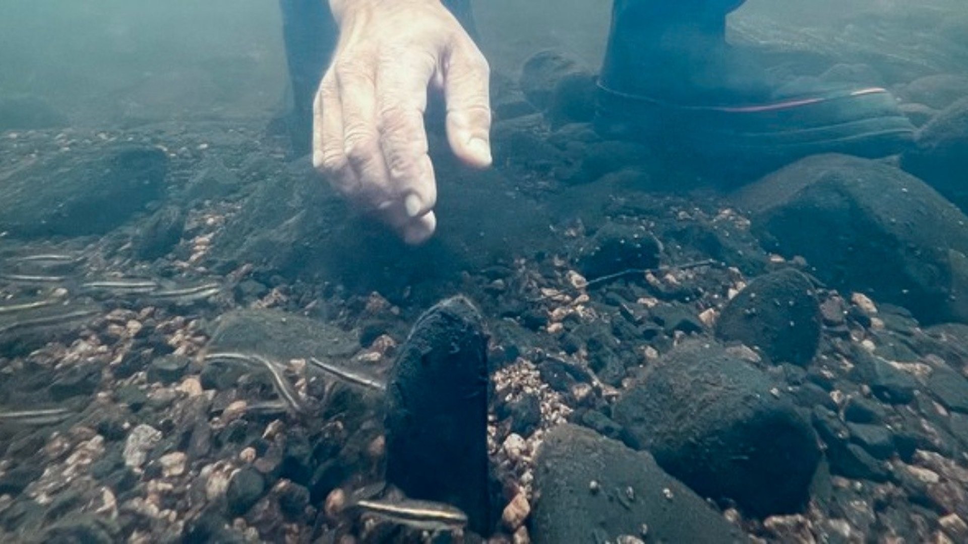 Hand vid havsbotten