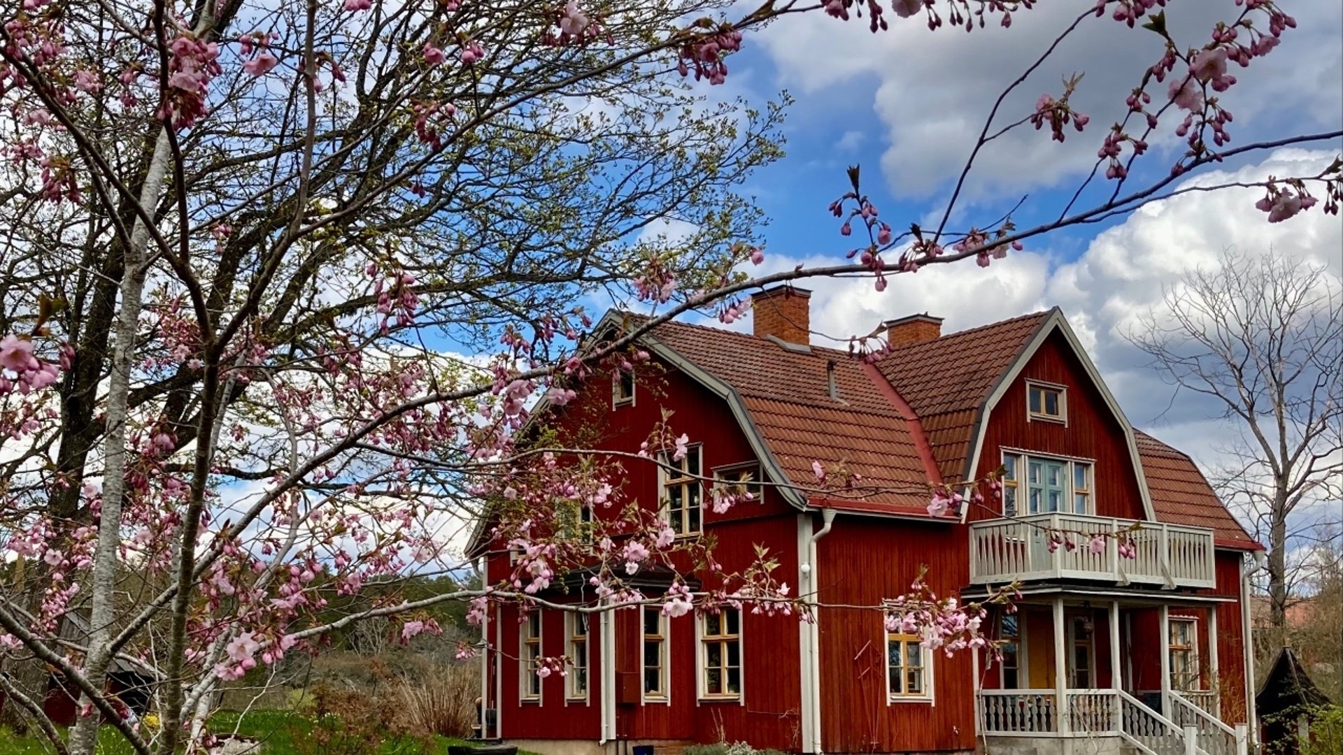  Galleri Guldgruvan i Koppartorp