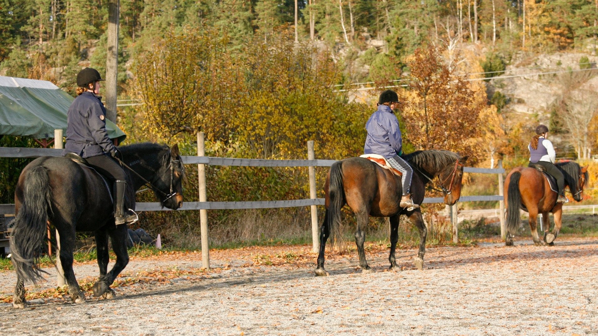 vuxenridläger, återfallsryttare, återvändare till ridning, erfaren ryttare, hästvälfärd, må gott med häst