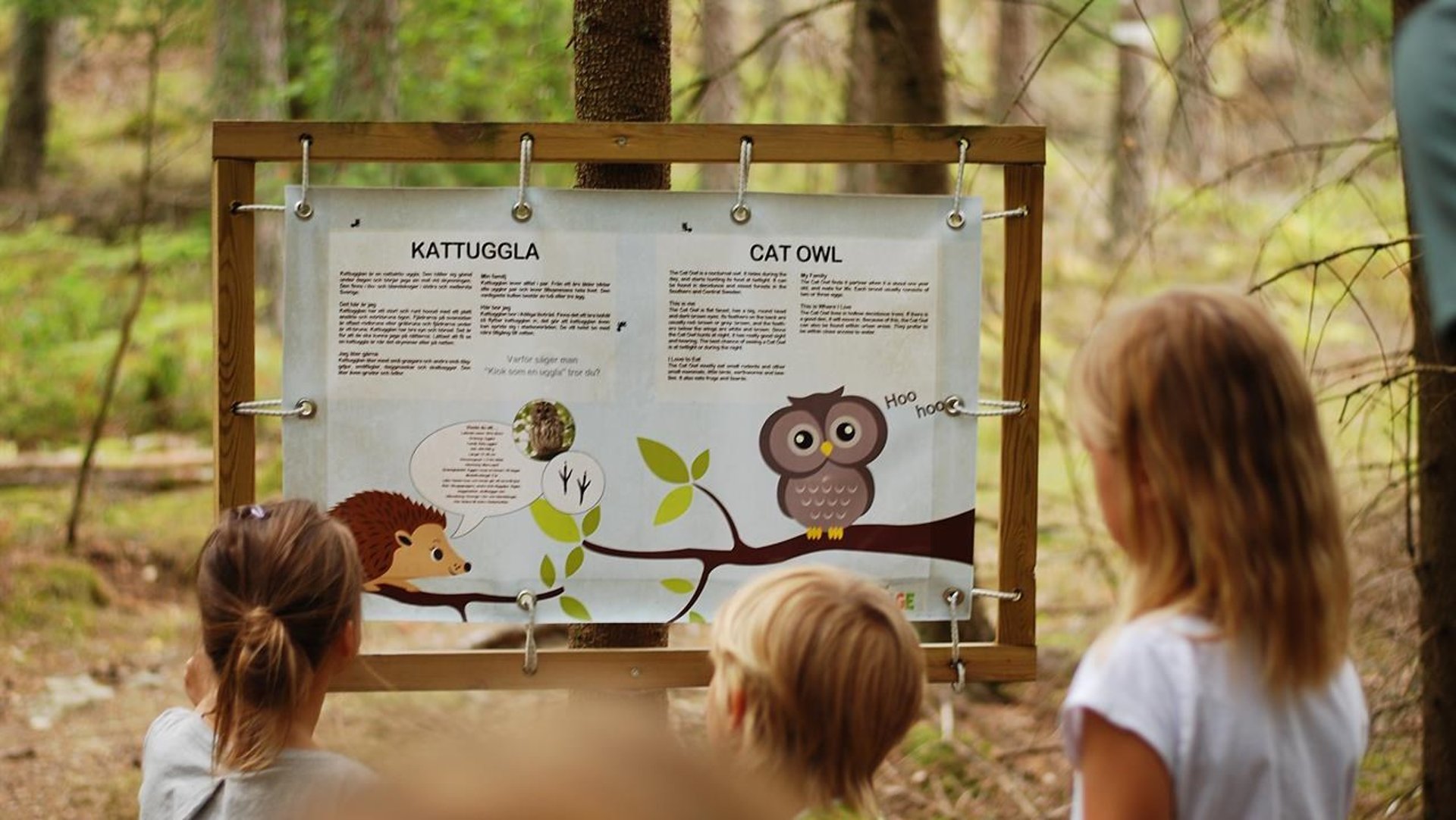 Barn som står och kollar på en skylt i skogen