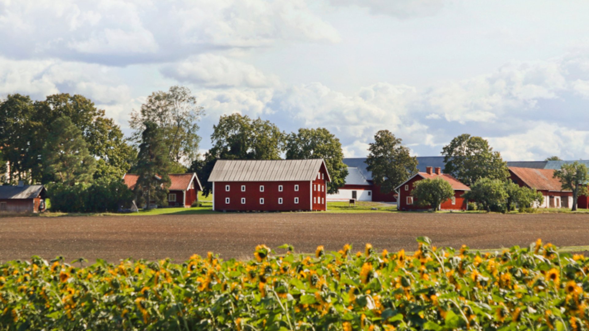 Röda hus på landsbygden