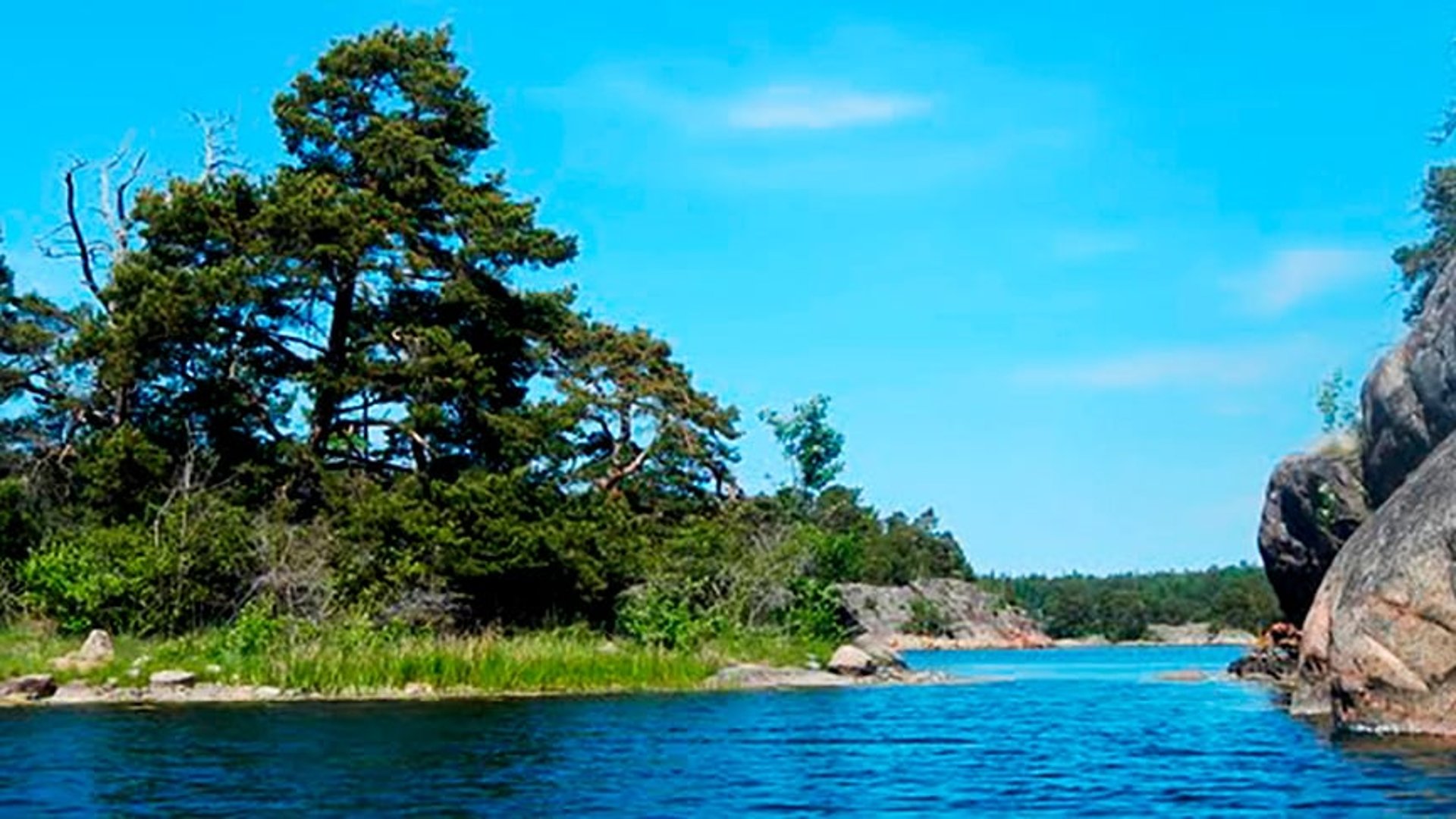 Kobbar i skärgården.
