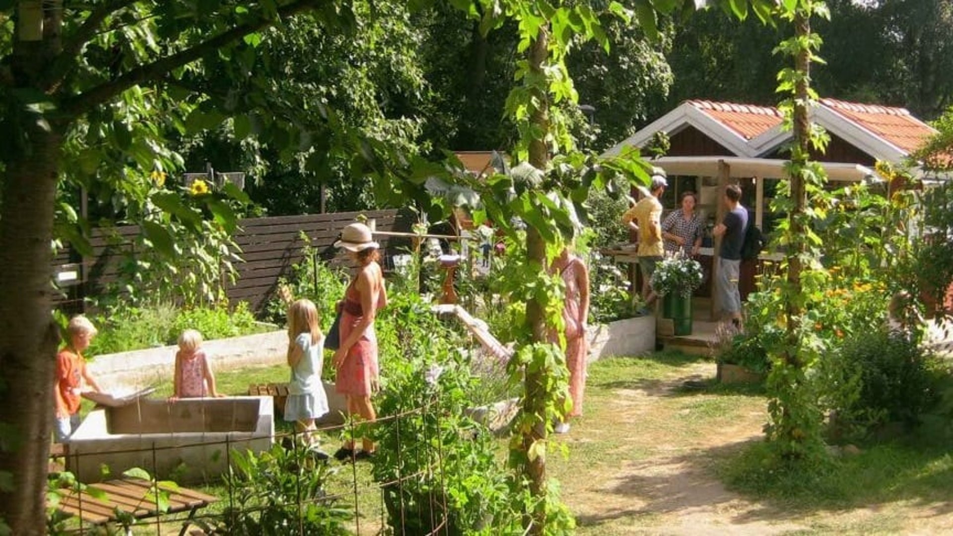 Eftermiddag Fåfängans trädgård