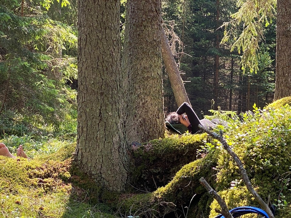 Better Hike - Skogsbad för välbefinnande