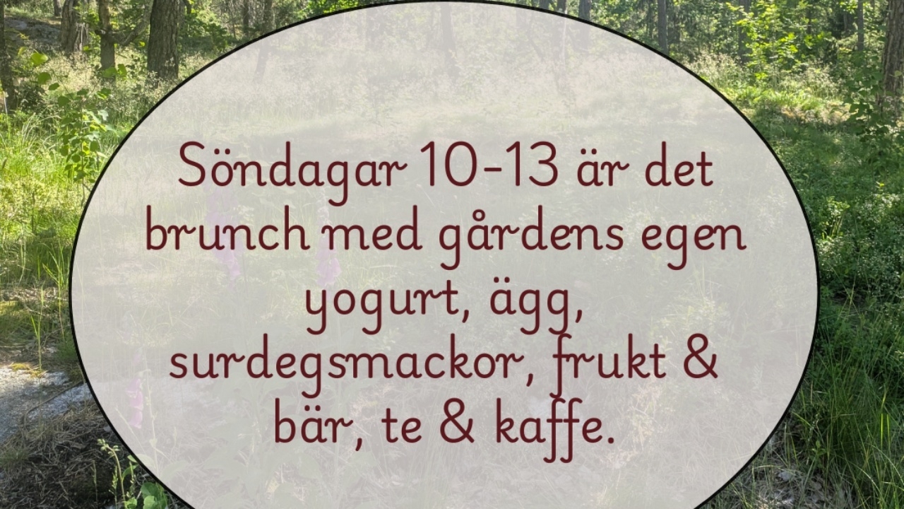 Bild till verksamhet: Annas mat - Ösvreta Sommarkafé - brunch from 12/7