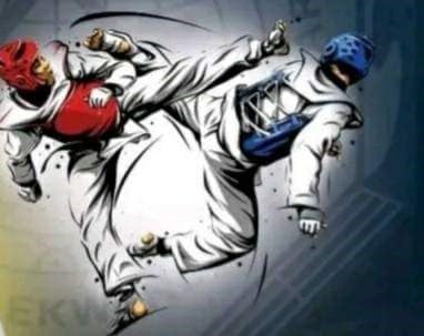 Bild till verksamhet: MULINA World Taekwondo-Hapkido Academy 1