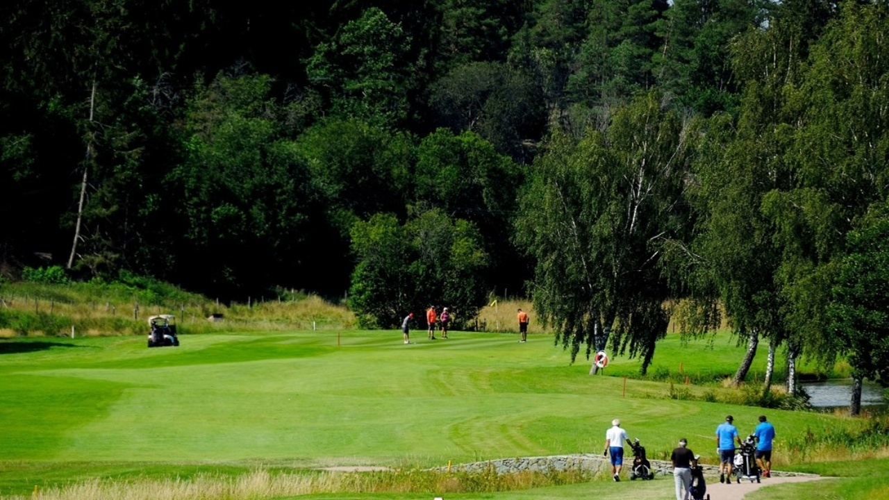 En bild som visar gräs, utomhus, träd, och människor som spelar golf
