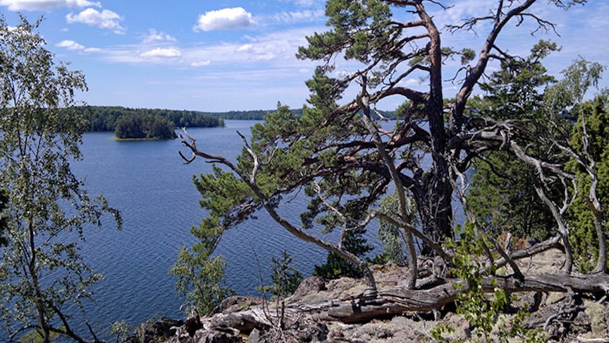 Dagnäsön naturreservat