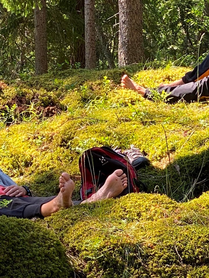 Bild till verksamhet: Better hike 1