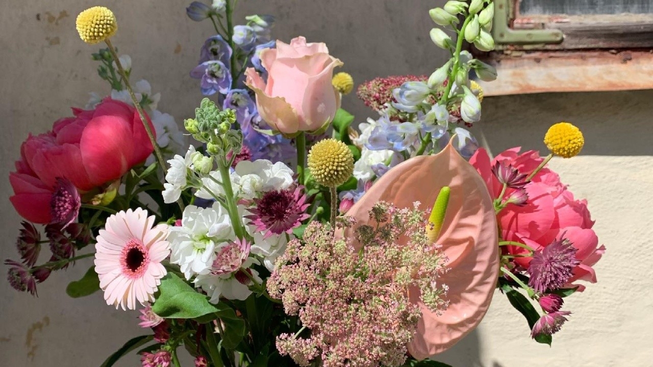 Bild till verksamhet: Gripsholmsparkens blommor