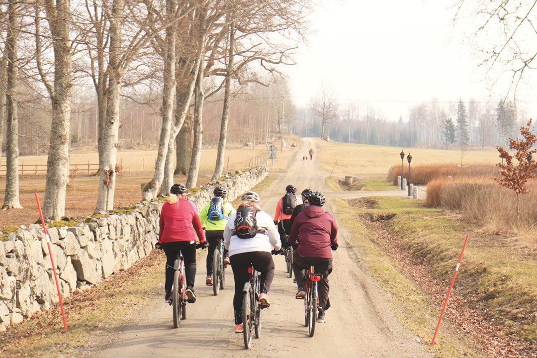 Människor som cyklar på en landsväg
