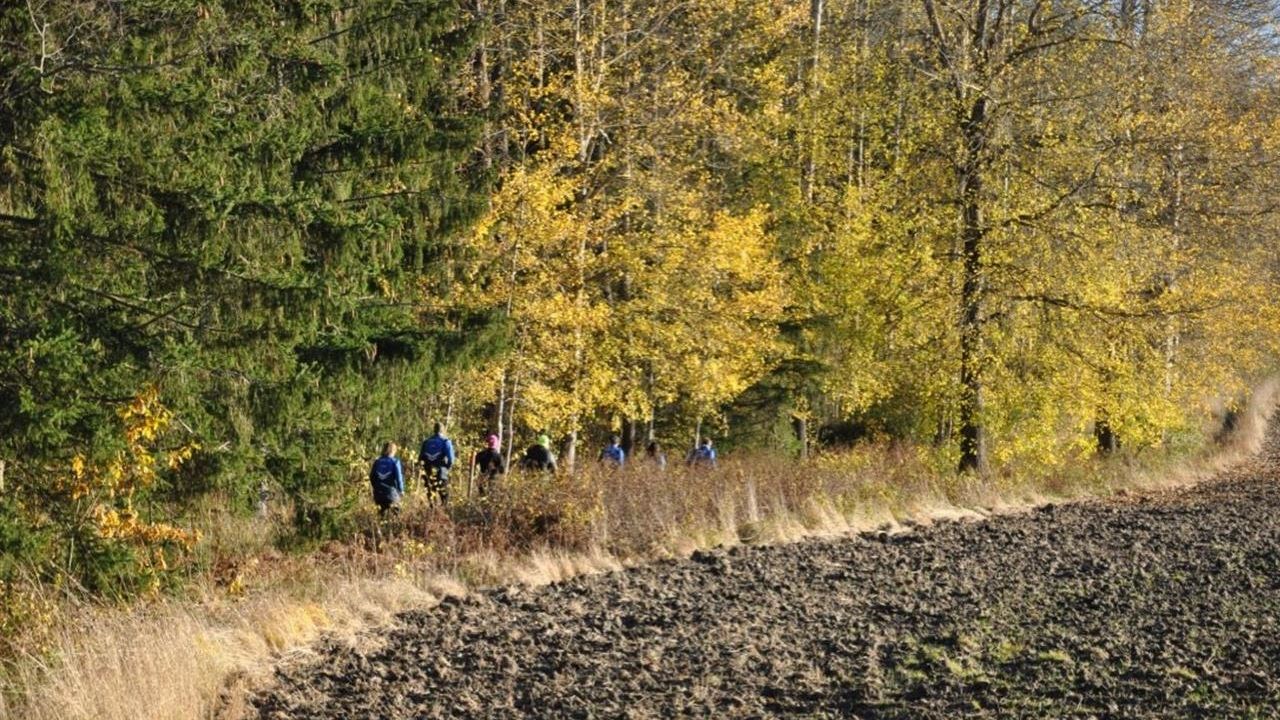 Bild till verksamhet: Nynäs IK1