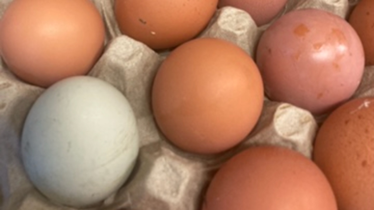 Bild till verksamhet: Gubbtäppansgårdsbutik & Täppans BnB 