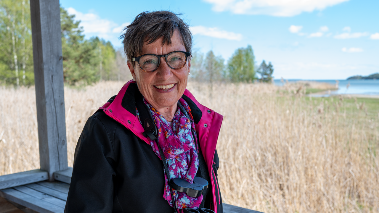 Illsutrationsbild för Anns tips för fågelskådning