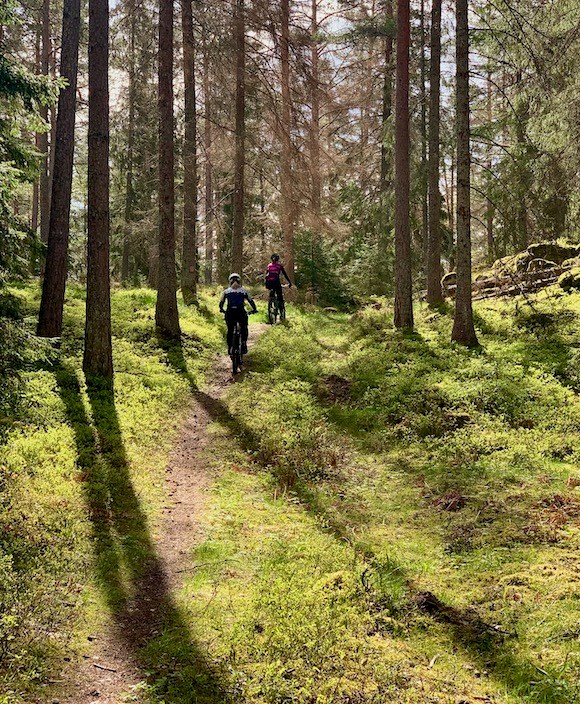 Bild till verksamhet: We Ride MTB 1