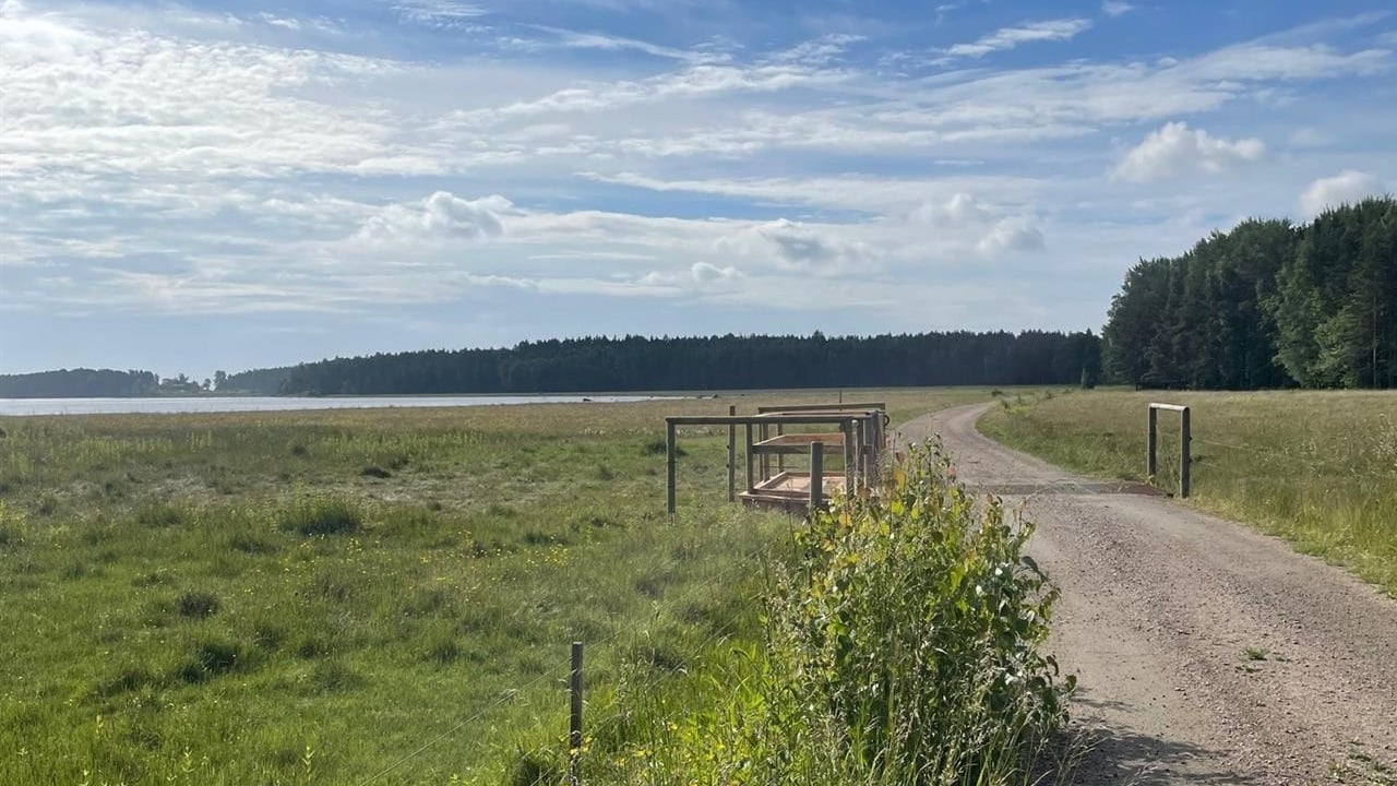 Strandstuvikens naturreservat