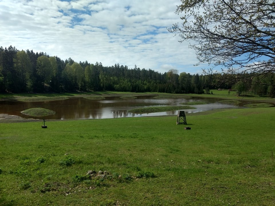 Stuga i skogen nära sjö