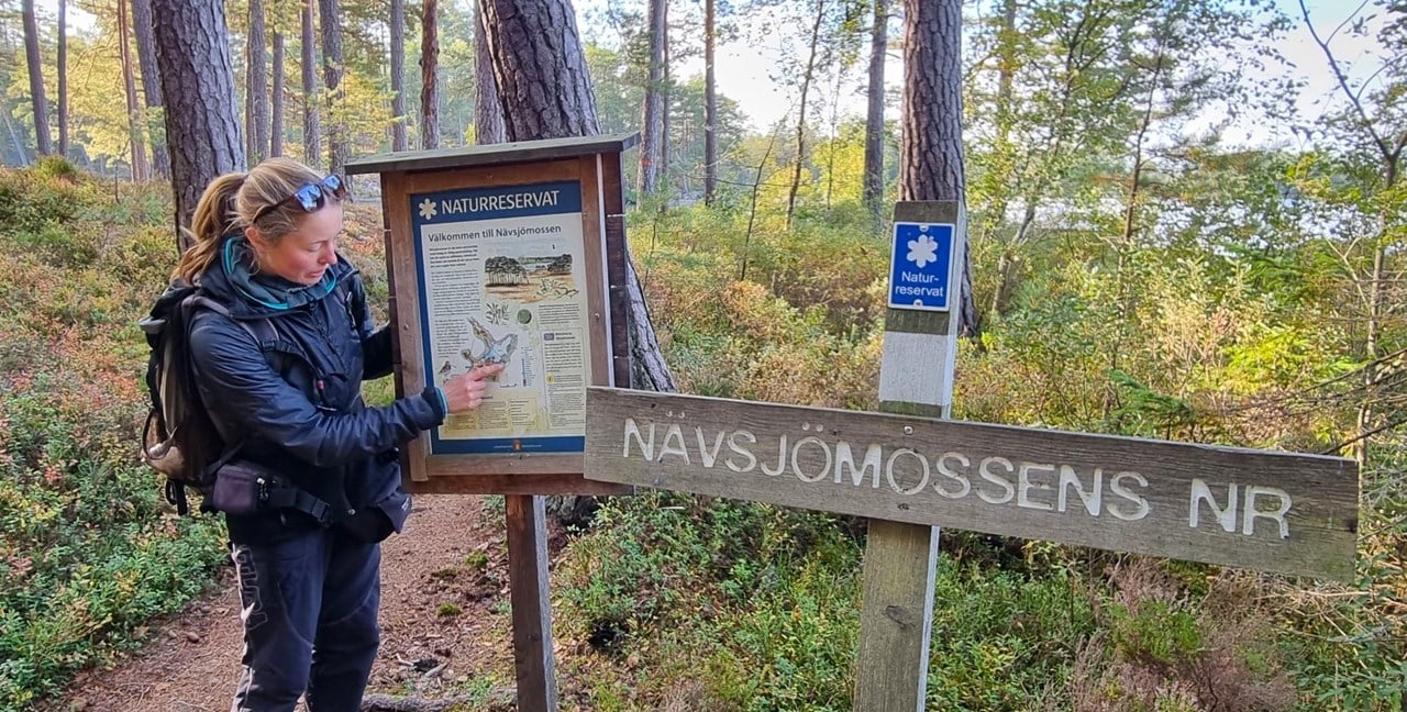 Bild till verksamhet: Sweden Experience Tours1