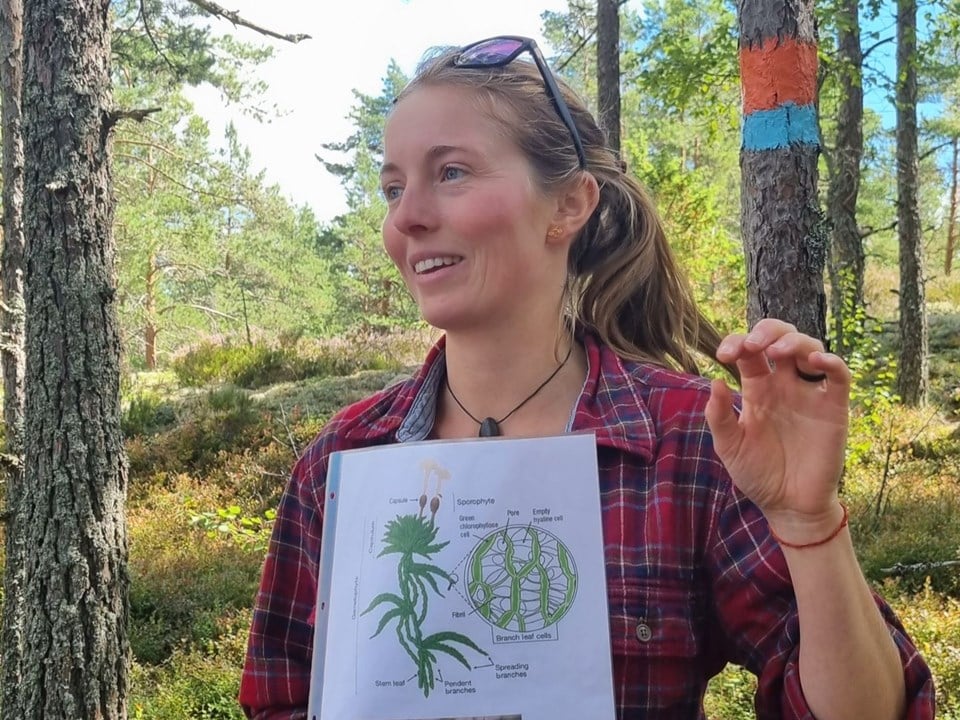 Bild till verksamhet: Sweden Experience Tours2