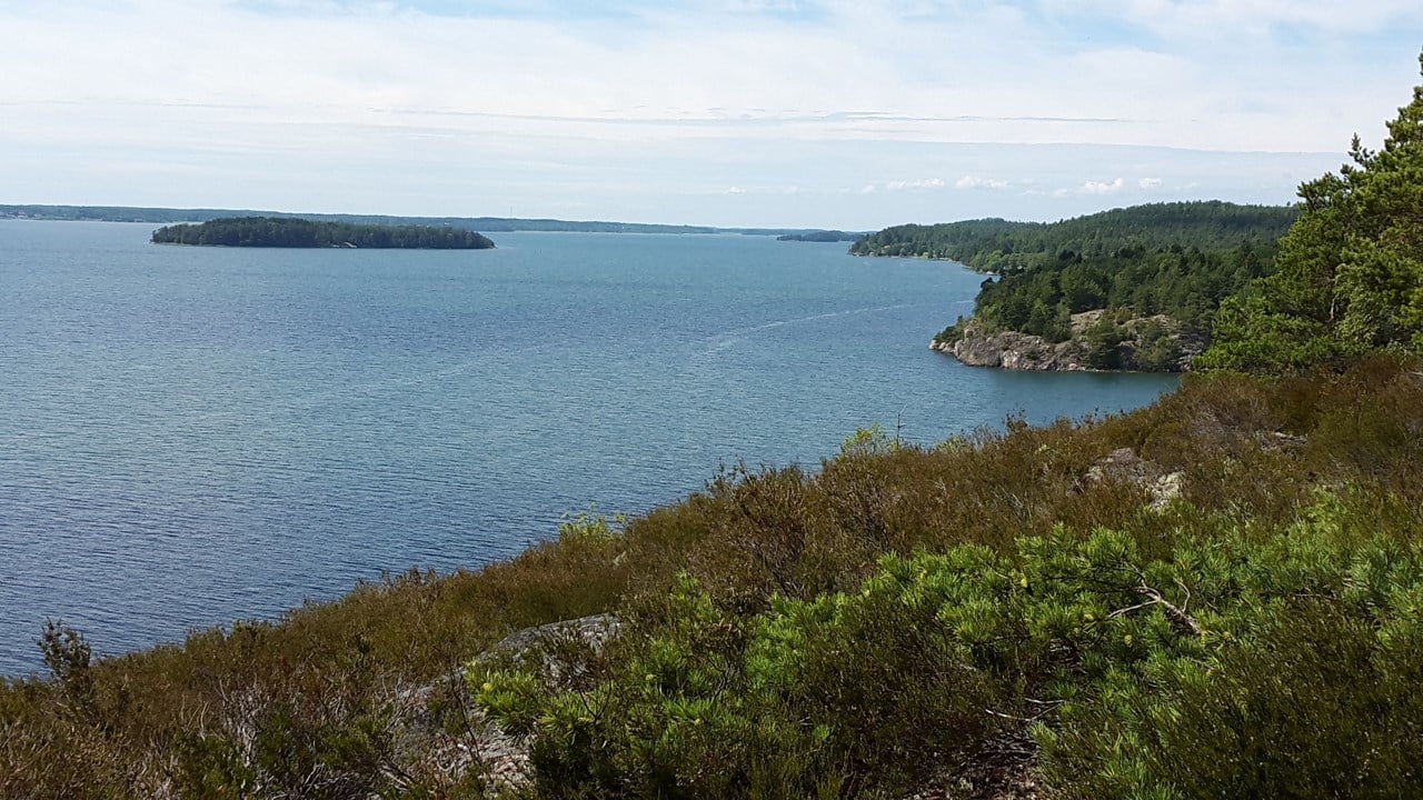 Bild till verksamhet: Natur- och trädgårdshelg på Nygran1